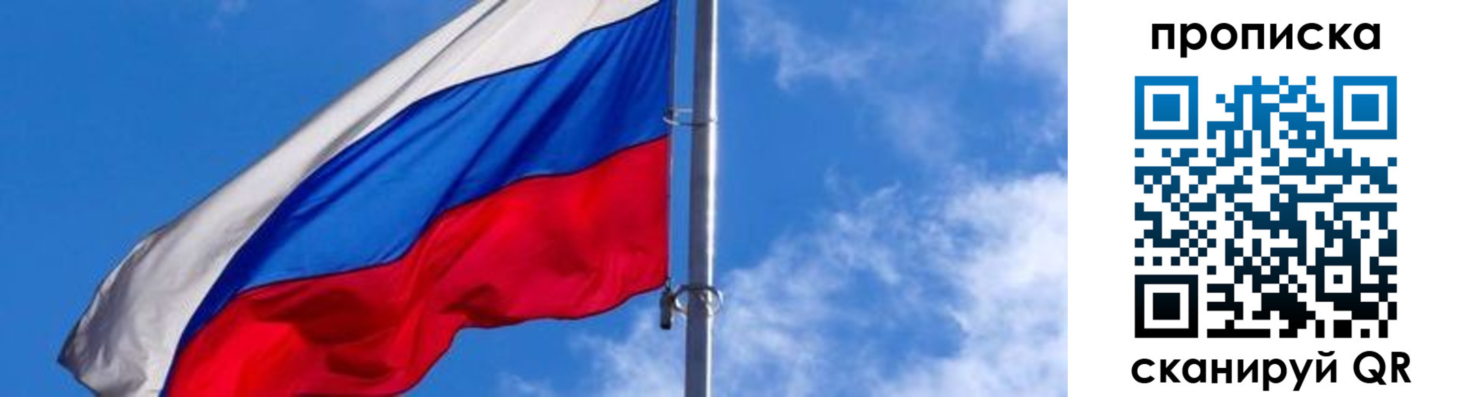 прописка поиск в Нелидово